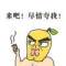 hd的頭像