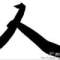 美合保險(xiǎn)代理中陽張璞的頭像