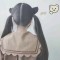 九兒	的頭像