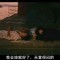 無為與華。的頭像