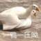 ?堝的頭像
