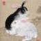 ┌回眸 乀一笑的頭像
