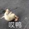 長(zhǎng)風(fēng).的頭像