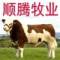 a順騰牧業(yè)養(yǎng)殖場的頭像