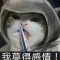 的頭像