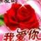 偶然的頭像
