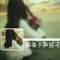 ?pansy__紫月?凌舞的頭像