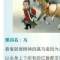 心與靈魂的頭像